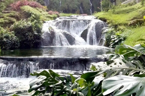 Cali: Wycieczka do Term Santa Rosa de Cabal | Wyjazd z CaliCali: Wycieczka do term Santa Rosa de Cabal | Wyjazd z Cali