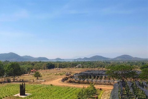 Kampot Day Trip from Phnom Penh: Rural Views & French Charm