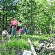 Mont-Tremblant : expérience de randonnée en traîneau à chiens