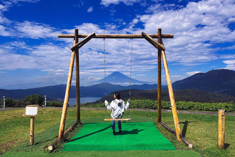 Tokio: Excursión de un día a Fuji y Hakone: onsen, arte y naturalezaTour privado en monovolumen para hasta 5 personas