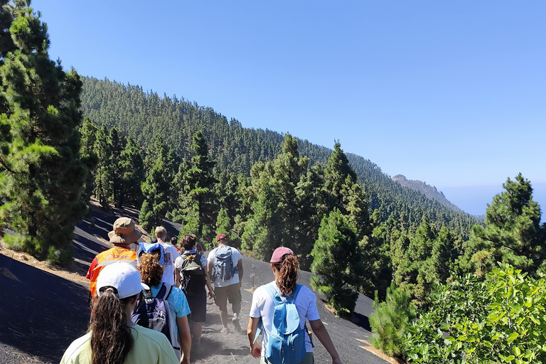 Tajogaite VIP Experience: Ruta Privada con Guía certificado y Dron