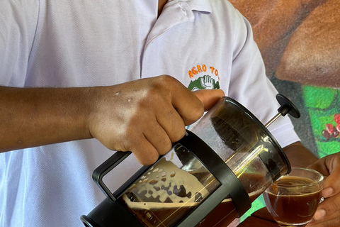 ميديلين: Agro Tour El Llano مع التذوق والغداء