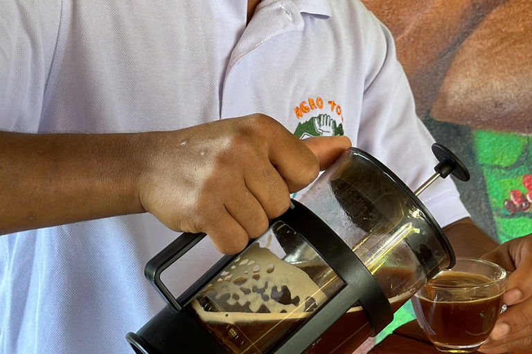 麦德林：埃尔利亚诺农庄之旅含品鉴与午餐麦德林：平原农业之旅含品鉴与午餐