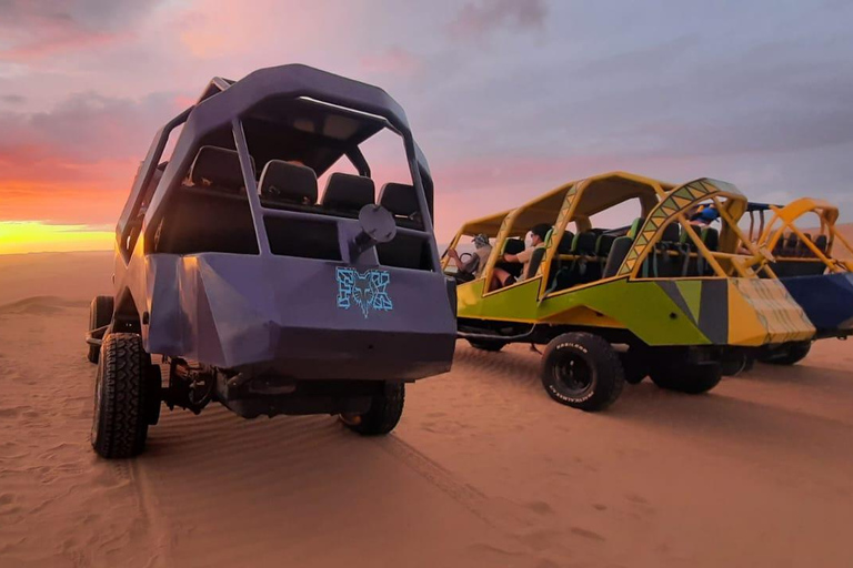 Full Day Paracas and Huacachina Sunset Tour - An Epic Exp!