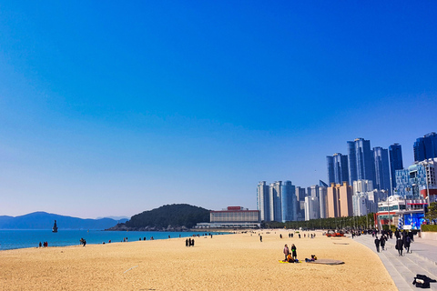 Busan : Découvrez l&#039;histoire de Haeundae lors d&#039;une visite à pied