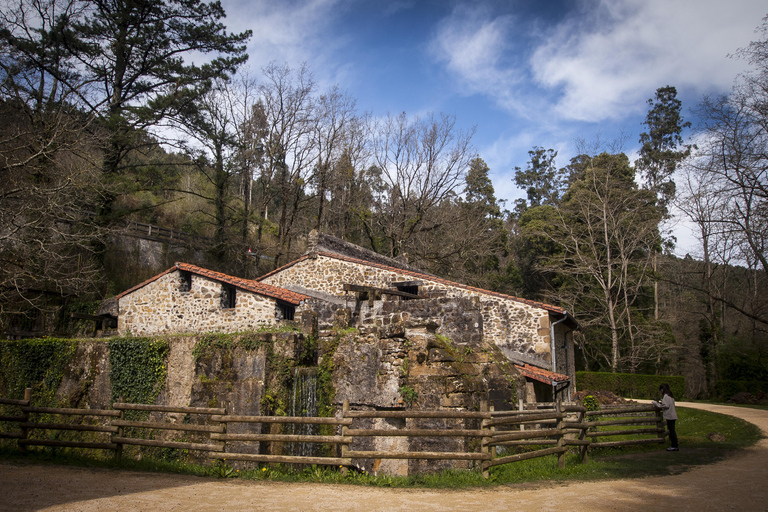 From iron to the table: El Pobal Ironworks and Basque cuisine Basque Country: Visit to a historic ironworks and traditional Basque food