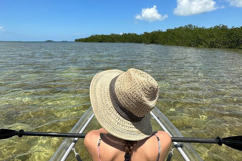 Key West Area: Guided Clear Kayak Eco-Tour