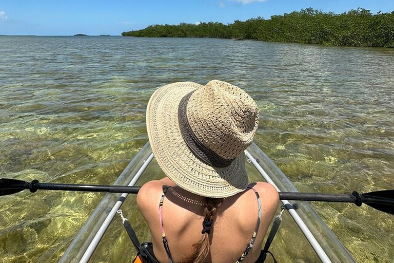 Key West Area: Guided Clear Kayak Eco-Tour