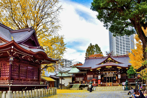 Tokyo: Private 1-Day Tour with English-Driver, Customizable