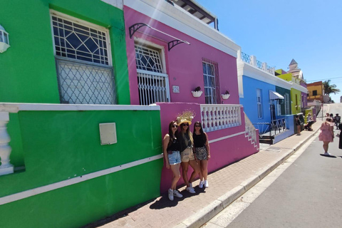 Excursão ao Jardim Kirstenbosch, Bo-Kaap-Penguins e Península do Cabo