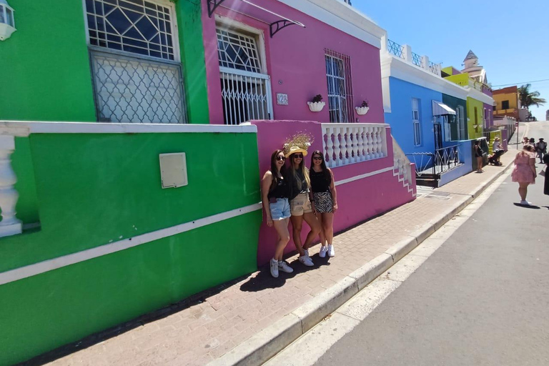 Excursão ao Jardim Kirstenbosch, Bo-Kaap-Penguins e Península do Cabo