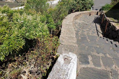 Private Bandama Caldera Volcano, Botanic Garden & Old Town