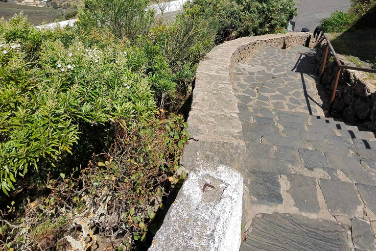 Private Bandama Caldera Volcano, Botanic Garden & Old Town