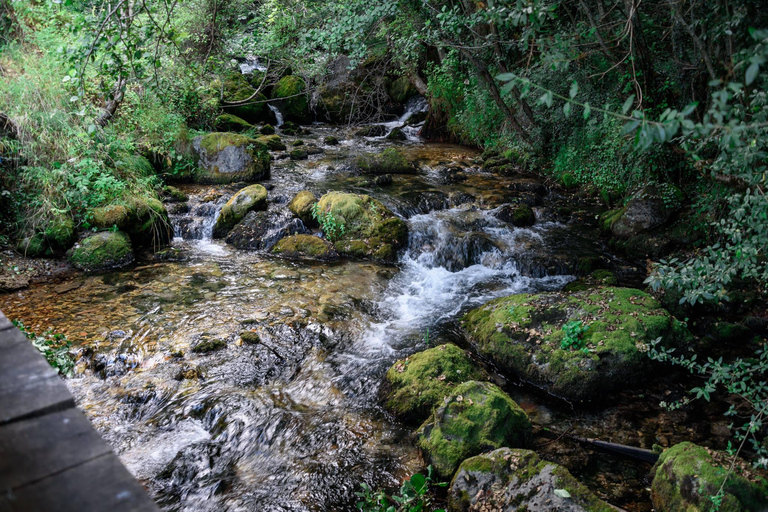 Stadsresa Struga och oberoende Vevchani från Ohrid