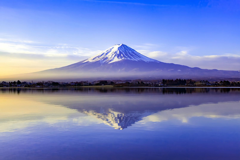 Mount Fuji Day Tour: Instagrammable Spots + Scenic Train From Tokyo (Including ropeway and cruise)