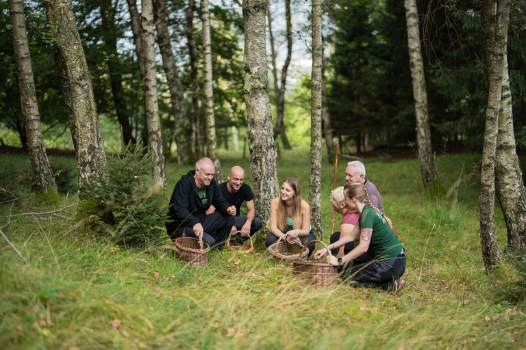 Bovec: It Smells Like Mushrooms