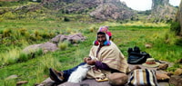San Pedro Ceremony in the Sacred Valley - Housity