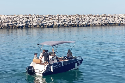 ماربيا: تأجير قوارب بدون ترخيص لمشاهدة الدلافينإيجار لمدة 30 دقيقة