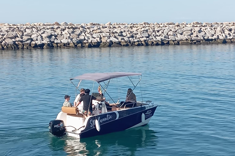 ماربيا: تأجير قوارب بدون ترخيص لمشاهدة الدلافينإيجار لمدة 30 دقيقة