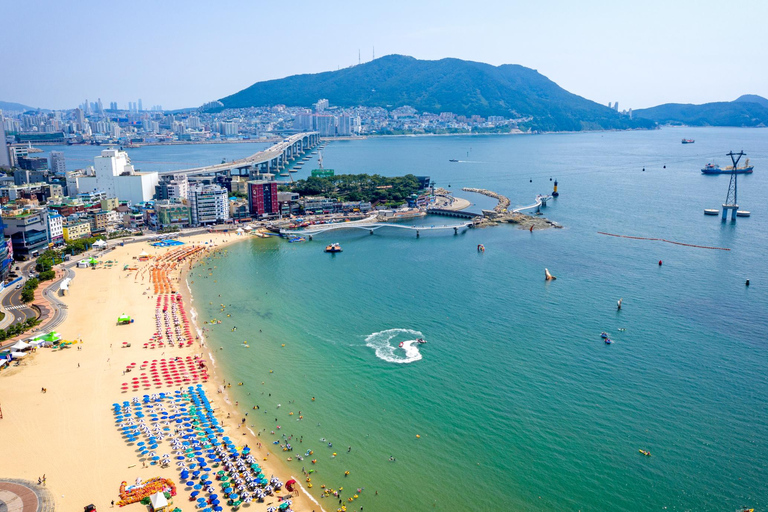 Busan: Sky Capsule, Local Street Food and Sunset/Night Views Nightview Shared Tour, Meet at KTX Busan Station