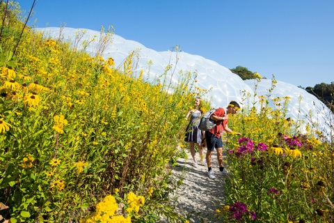 Kornwalia: Bilet wstępu do projektu Eden