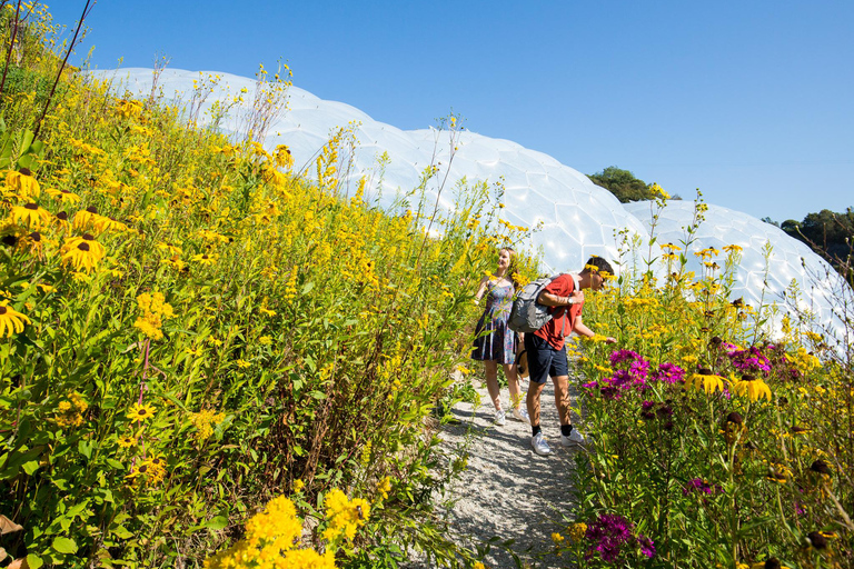 Kornwalia: Bilet wstępu do projektu Eden