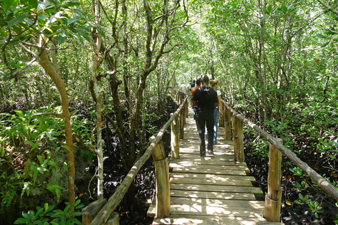 Tour a piedi nella foresta di Jozani