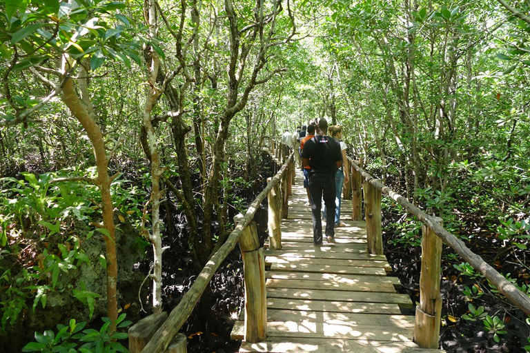 Excursão a pé pela floresta de Jozani