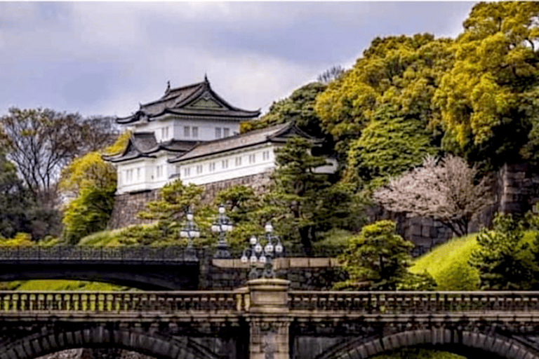 2 jours Tokyo, excursion au Mont Fuji visite guidée privée