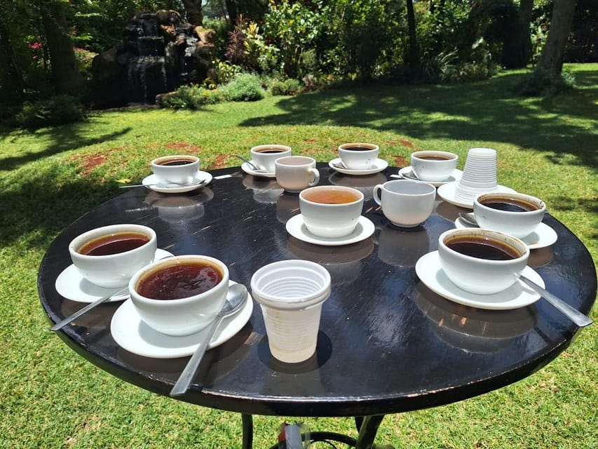 Nairobi: Fairview Coffee Estate Tour with Transfers | GetYourGuide