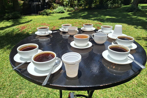 Nairobi: Fairview Coffee Estate Tour with Transfers