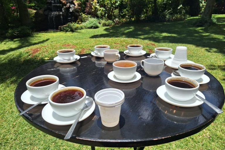 Nairobi: Fairview Coffee Estate Tour with Transfers