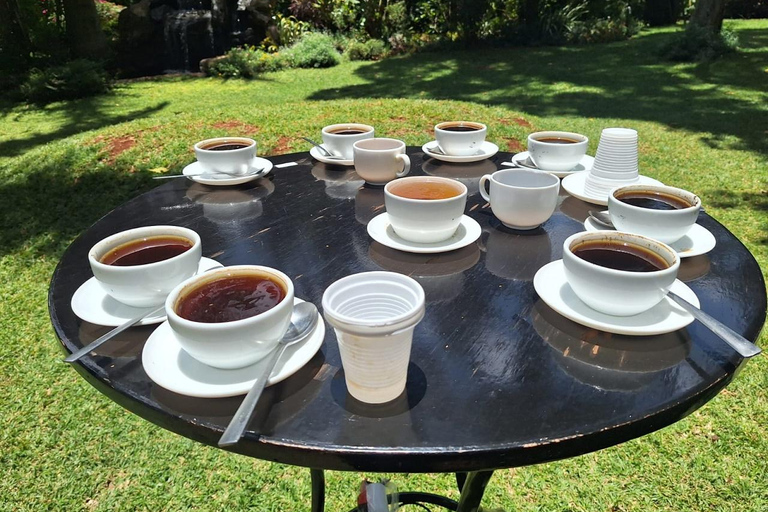 Nairobi: Tour della tenuta del caffè Fairview con trasferimenti