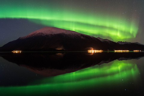 Tromsø: Aurora Borealis Hunting with Professional Photographer in Spanish