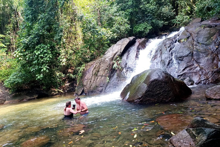 Khaolak: santuario de elefantes con centro de conservación de tortugas