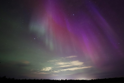 Rovaniemi: Aurora Hunting Photography Tour(98% Success Rate)