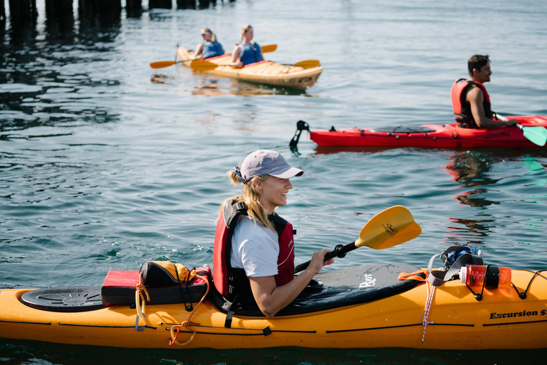 From Svolvær: Lofoten Guided Kayak Experience