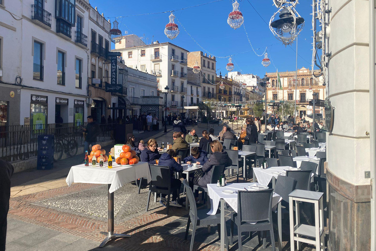 from Mijas, Malaga: Private tour Ronda incl. transfer, bullfighting arena and tapas