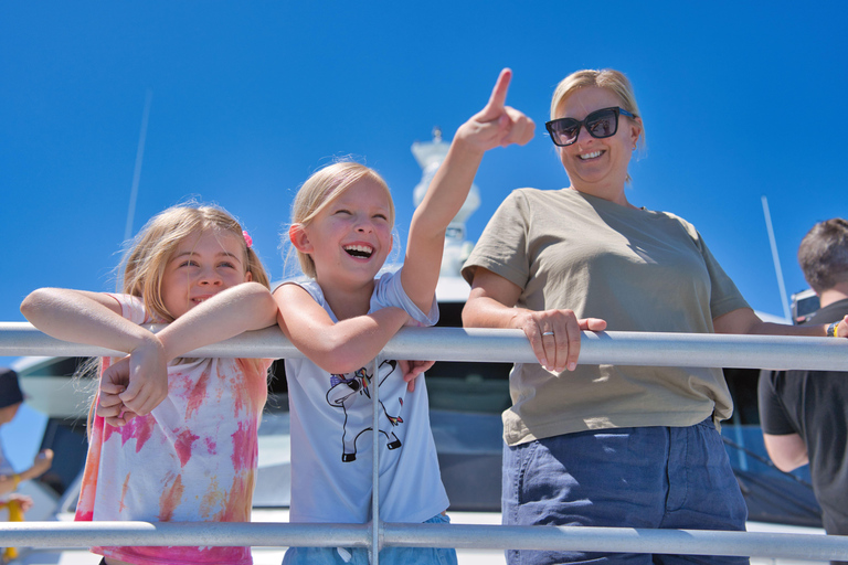 Auckland: Coromandel Peninsula Ferry and Bus Transfer 7:00pm One Way Coromandel to Auckland Ferry & Bus Transfer