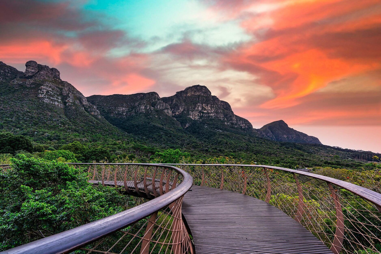 Le Cap : billet d&#039;entrée au jardin botanique de Kirstenbosch