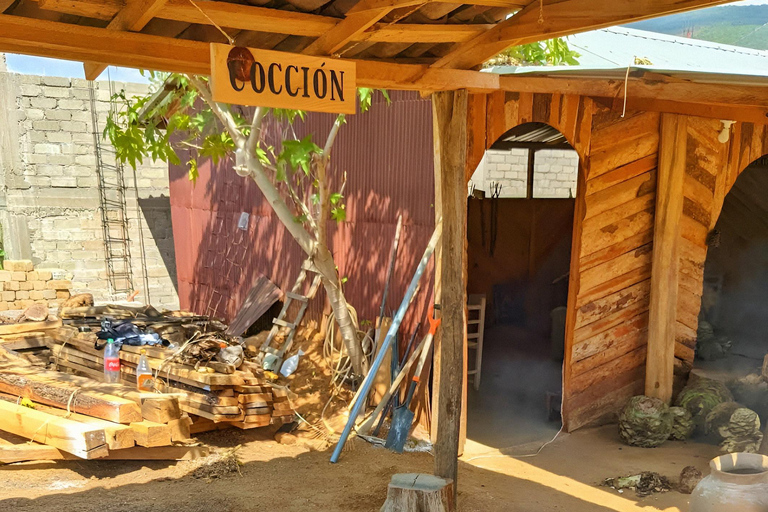 Oaxaca:full‑day tour Monte Alban, mezcal ancestral, alebrijes y barro negro