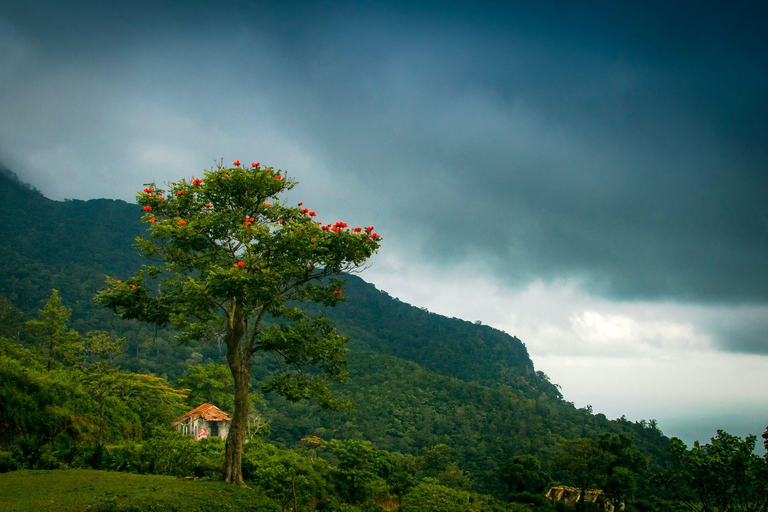 Z Kochi: 2-dniowa wycieczka na plażę Mararikulam