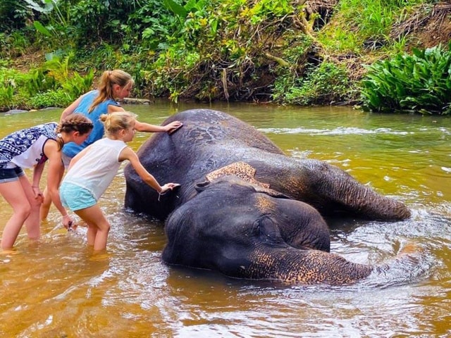 Kandy Day Trip: Ambuluwawa, Elephants & Lunch All Inclusive