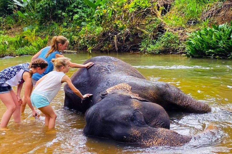 Kandy Day Trip: Ambuluwawa, Elephants & Lunch All Inclusive Pickup from Colombo /Negombo