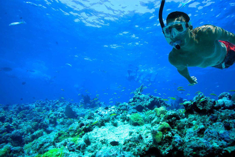 Heen- en terugvervoer naar Key west vanuit Miami