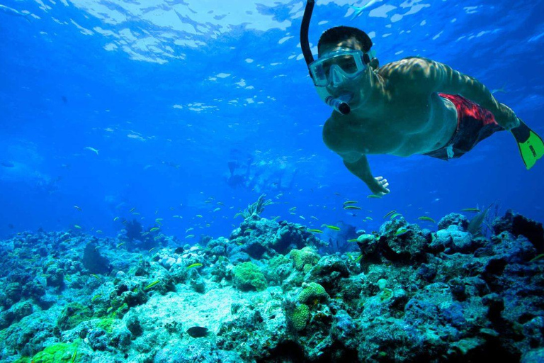 Heen- en terugvervoer naar Key west vanuit Miami