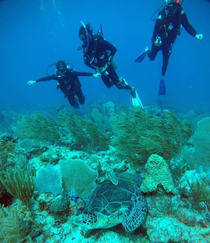 Akumal: Discover Scuba Diving