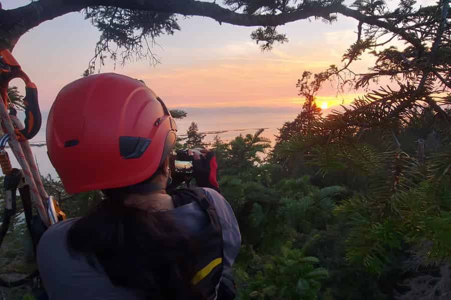 Baumklettertour in Vancouver: Abenteuer-Expedition bei Sonnenuntergang. Foto: GetYourGuide Baumklettertour in Vancouver: Abenteuer-Expedition bei Sonnenuntergang. Foto: GetYourGuide