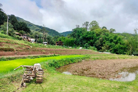 Chiang Mai: Mae Ya waterval &amp; Pha Dok Siew trektochtPrivétour met ophaalservice vanaf je hotel