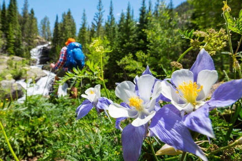 Silverthorne: Paquete de Aventura Botas a Barcos